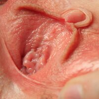 Good-looking hairy vagina opened up vulva