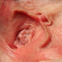 Good-looking hairy vagina opened up vulva