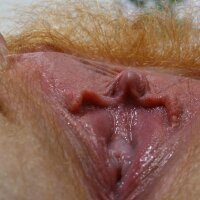 Aroused woman with big clitoris in vulva pictures