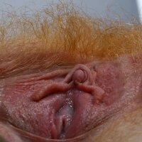 Aroused woman with big clitoris in vulva pictures