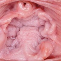 Pictures of the softest pussy insides in the world