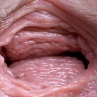 Vagina walls extreme close up pics