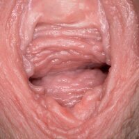 Vagina walls extreme close up pics