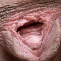 Vagina walls extreme close up pics
